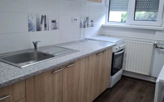 Vand apartament 2 camere Dacia Torontalului - Poză 3