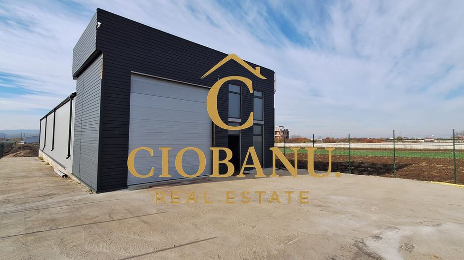 Hala de vanzare in Racari de Jos - Poză 1