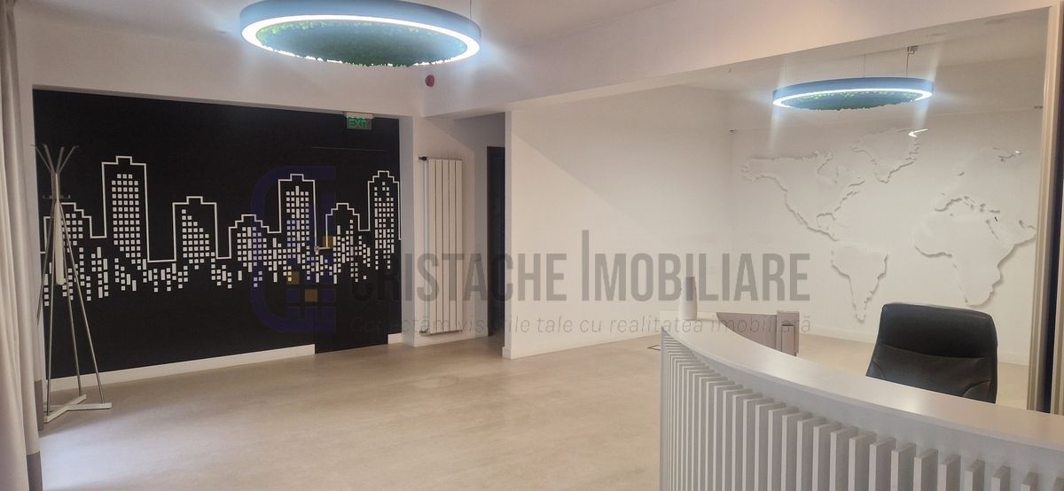 Vila P+2, suprafata 380 mp, Principatele Unite, Piata Unirii - Poză 14