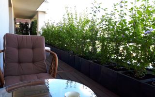 Penthouse 4 camere 128 m² | Terasă proprie ~80 m² | Zona Domenii - Poză 3