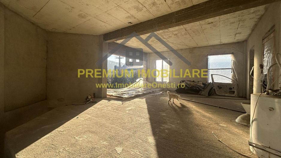 Proprietate multifuncțională cu potențial pentru investiții - Poză 12