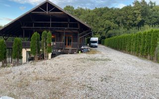 Vanzare teren 3000 mp, cabana, zona D D Rosca, Faget - Poză 2