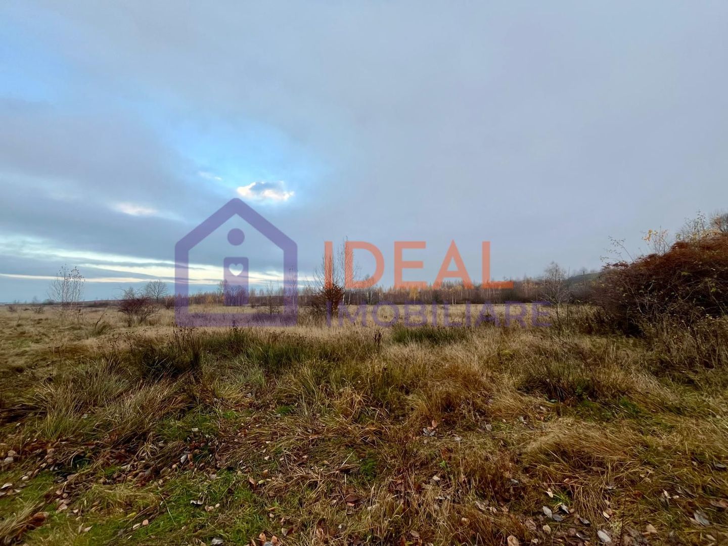 Teren extravilan 6.500 mp – două căi de acces, Cârțișoara - Poză 6