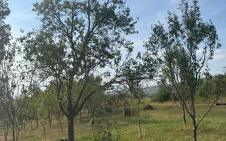 Casă de vânzare Hășdate ( GHERLA ) - Poză 15
