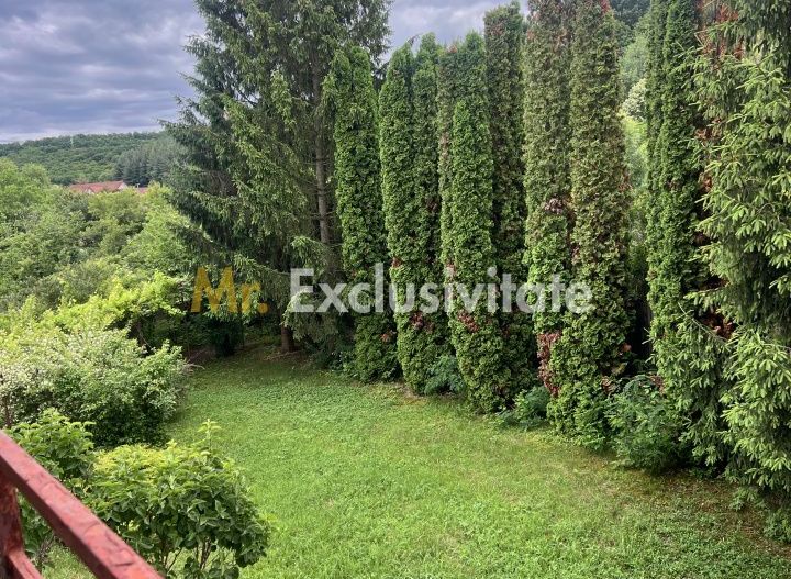 Acasă la Bascov- Județ Arges cu peisaj de poveste - Poză 2