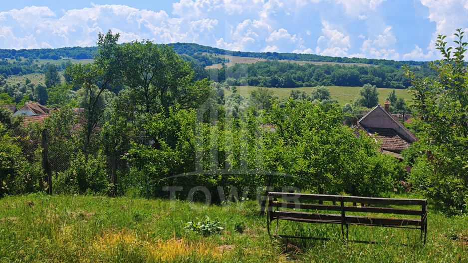 Casă săsească autentică în Bruiu (Sibiu) - Poză 20