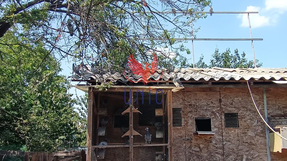 Teren 980 mp, 2 deschiderizona Drumul Muntenilor pret excelent - Poză 5