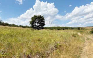 Teren intravilan cu o suprafață de 11.050 mp | Ideal ptr investitii - Poză 3