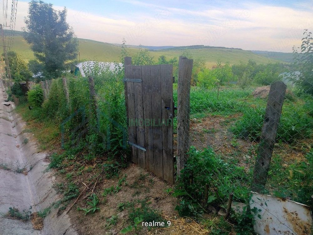 Teren intravilan de 1550 mp în localitatea Buznea, strada Corneliu Coposu - Poză 4