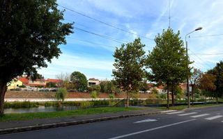 Spațiu comercial de închiriat | Ultracentral | Oradea - Poză 10