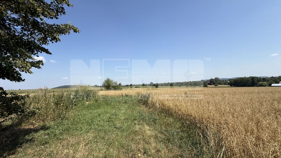Teren intravilan de vânzare | Horodnic de Sus | 77 ari - Poză 7