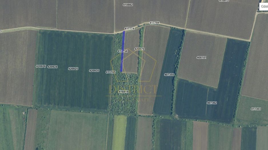 COMISION 0% Terenuri agricole 10.750mp si 700mp| Recas - Poză 3