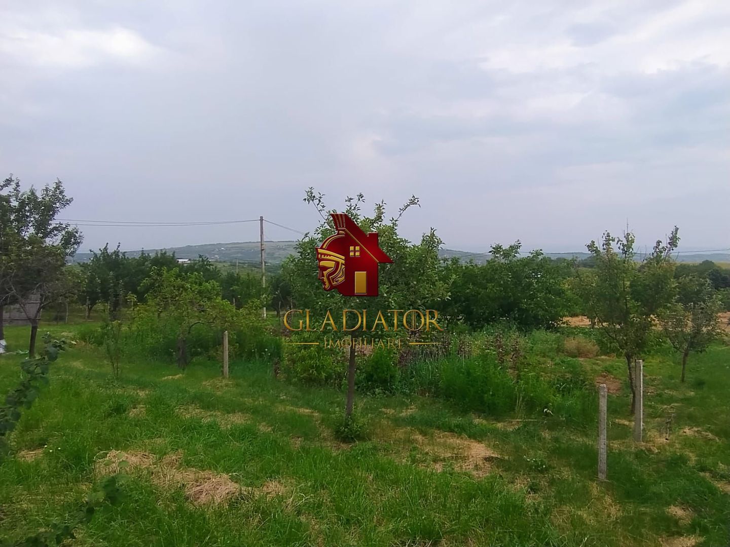 Casa + garaj + 5400 mp teren in Tomesti Goruni, zona de vis, nu rata - Poză 18
