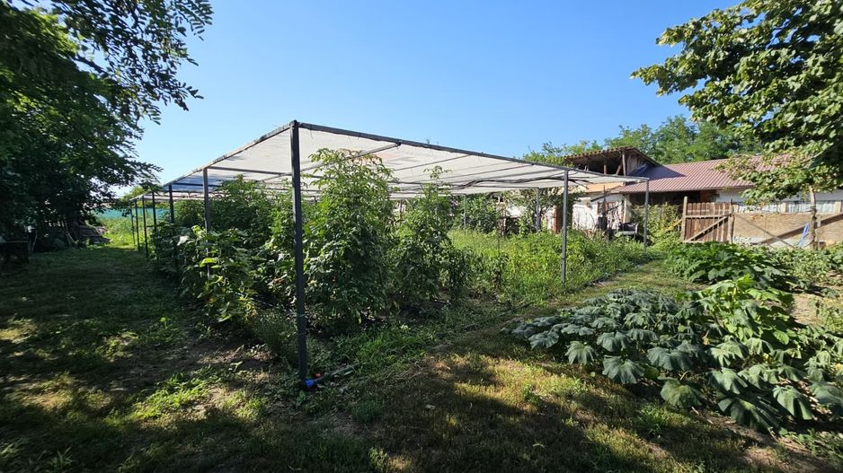 Munteni-Buzau, Casă 4 camere, 80 mp cu teren de 1.912 mp - Poză 12
