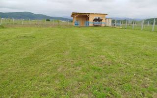 Grădină 862 mp cu cabanuta și pomi fructiferi – între Tălmaciu și Sadu - Poză 7