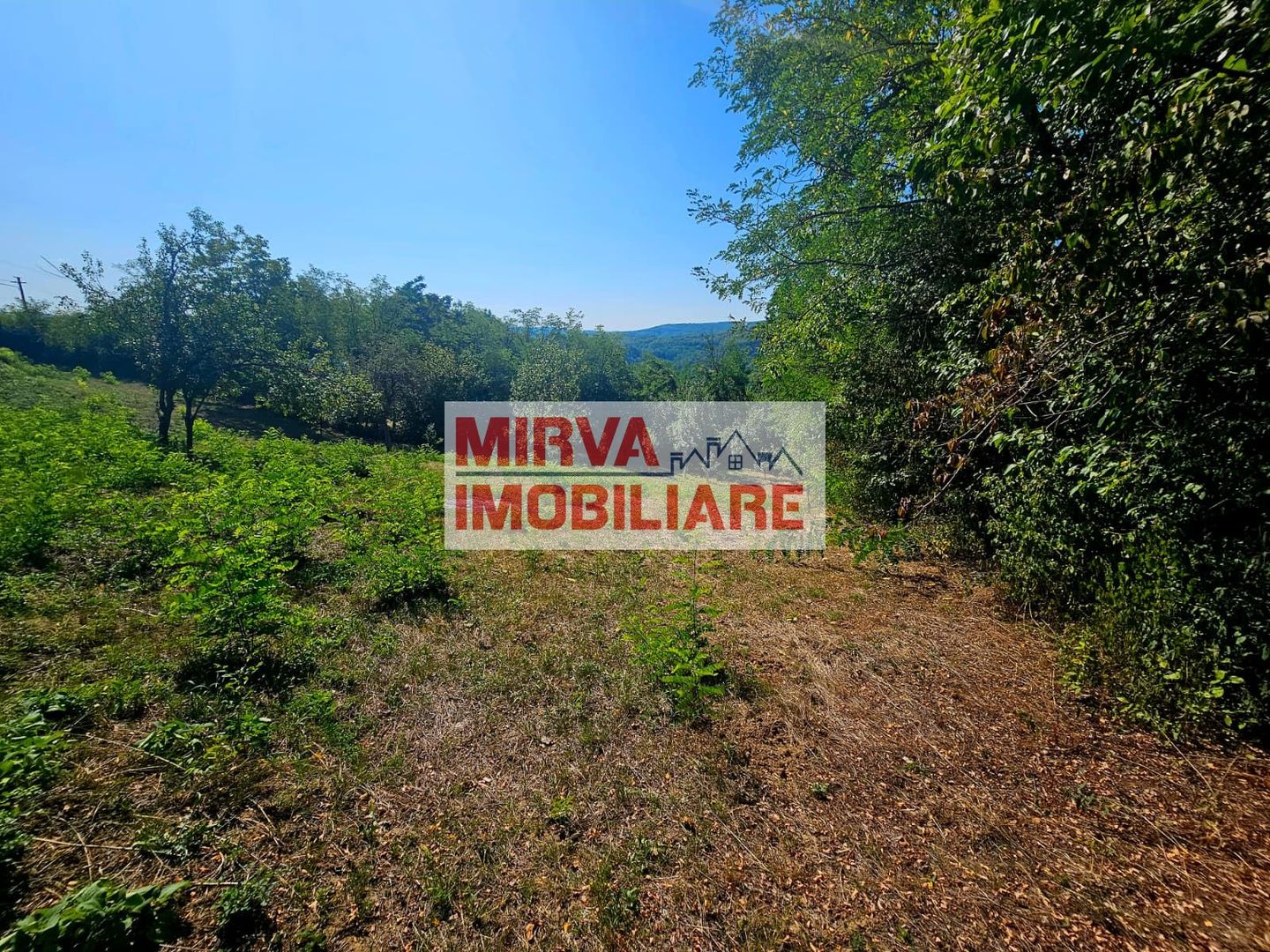 🌳 Teren intravilan 2322 mp, Păcuri – vedere superbă spre pădure! 🏡✨ - Poză 5