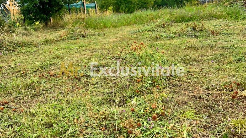 Teren intravilan in Babana jud Arges - Poză 1