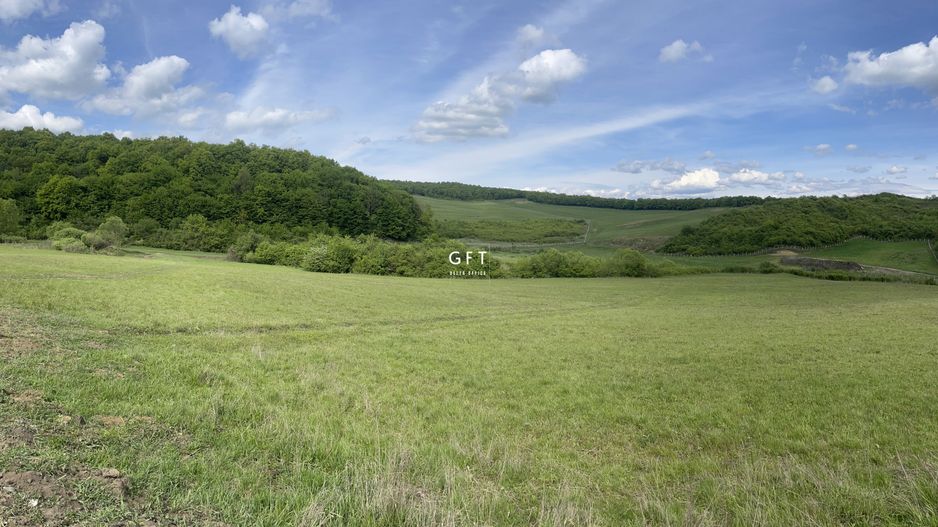 Teren extravilan 10000 mp, Jelna. - Poză 5