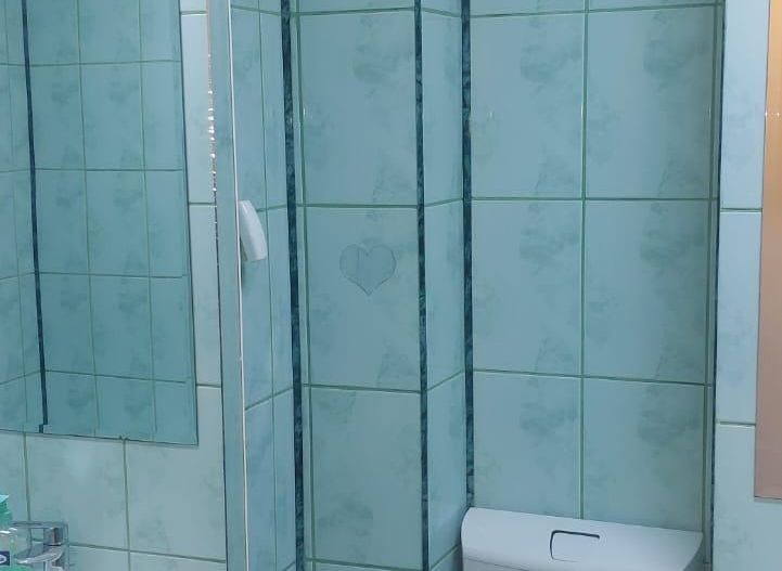 AP. 2 CAMERE 13 SEPTEMBRIE, PET-FRIENDLY, REABILITAT, MOBILAT MODERN - Poză 13