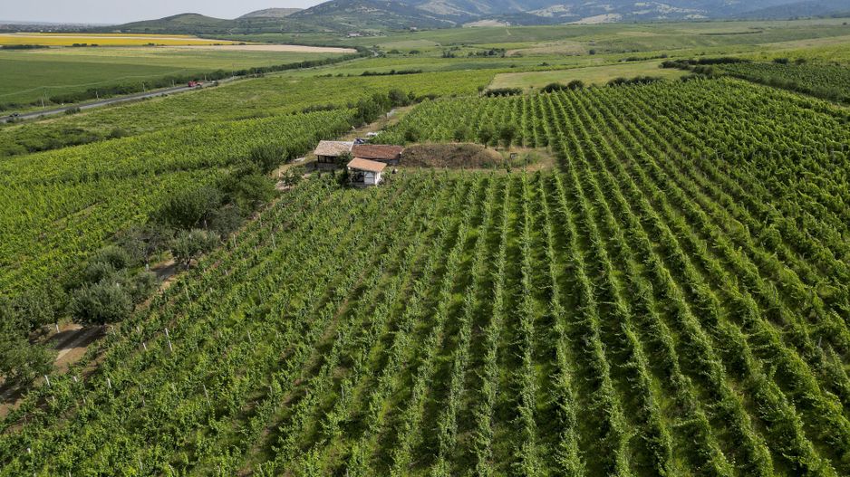 Vie Tradițională „Halta Lupilor” - Poză 42