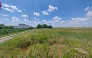 Frumusani Postavari 30 minute de Aparatorii Patriei super oferta 7 eur - Poză 6