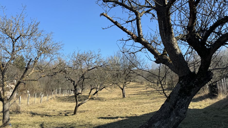 TEREN INTRAVILAN 3400 MP, VOINESTI, LERESTI - Poză 2