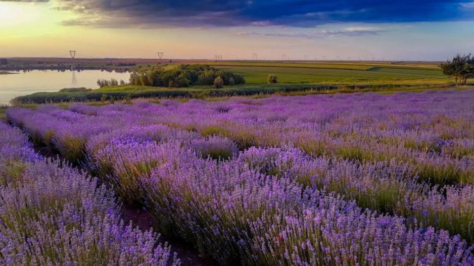 Teren 1001 mp intravilan Fundulea pe malul lacului - Poză 6