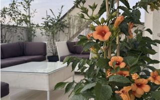 VANZARE -PENTHOUSE SUPERB - 3 CAMERE - TERASA  de 60 mp - Poză 5