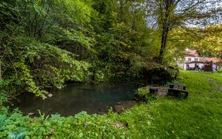 Domeniu în satul Căprioara - Poză 19