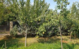 De vanzare teren 562mp + foisor si beci, Bragadiru - Poză 9