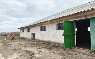 Hala de inchiriat in zona Tarian, Bihor - Poză 1