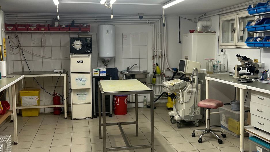 Imobil multifuncțional, 450 mp utili, teren 640 mp, Torontalului - Poză 4