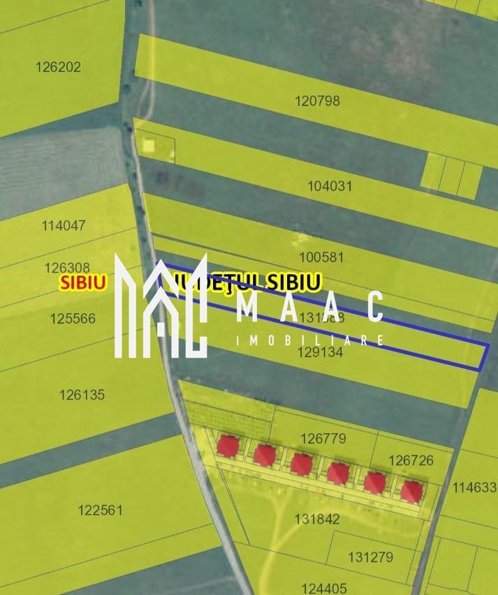 Teren Intravilan | 6000 mp | Turnisor - Poză 2