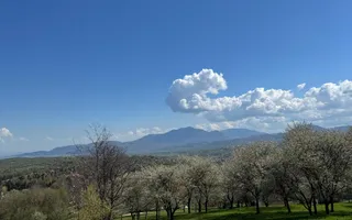 Terenuri Bran - Predelut  Priveliște către Bucegi și Postăvaru - Poză 11