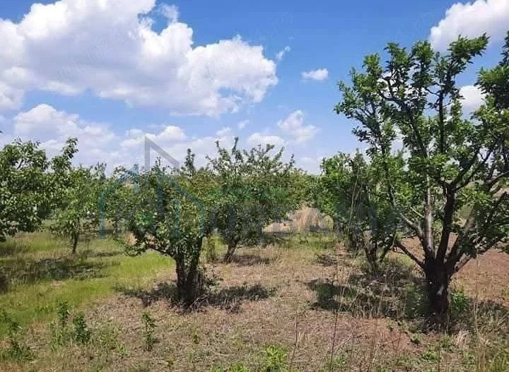 Teren de vânzare, 3.360 mp, Comuna Holboca – Zonă rezidențială nouă - Poză 2