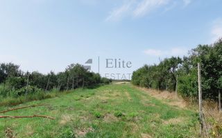 Hala de inchiriat 180 mp +spatii birouri la 20 de minute de Oradea - Poză 11