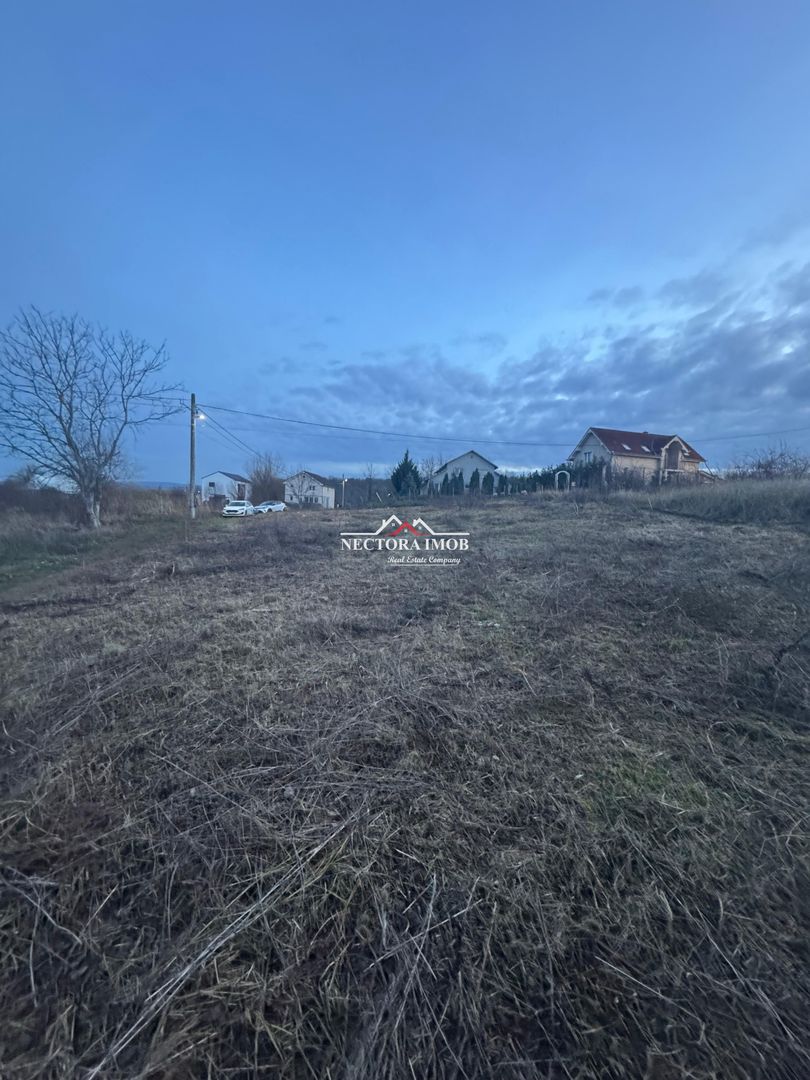 NECTORA IMOB-Teren Intravilan 647 mp, Dublu Front, Paleu, cu Utilitati - Poză 2