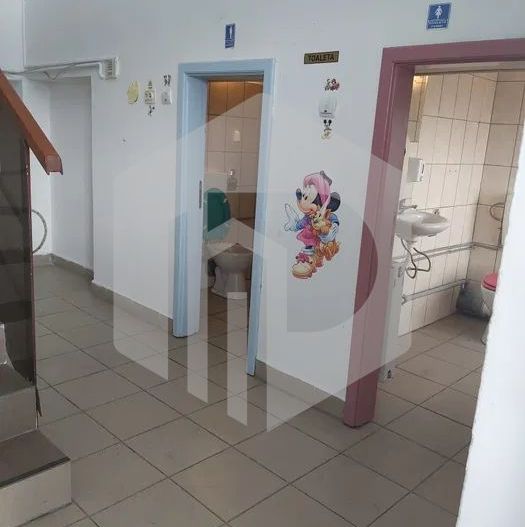 Spatiu Comercial - Terezian - 400mpu - 577mp Teren - Parcare proprie - Poză 8