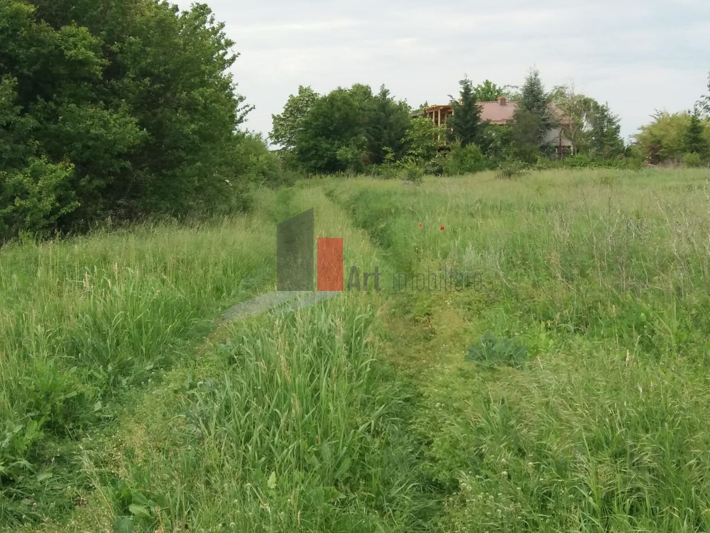 Teren Buftea cu iesire la lac - Poză 23