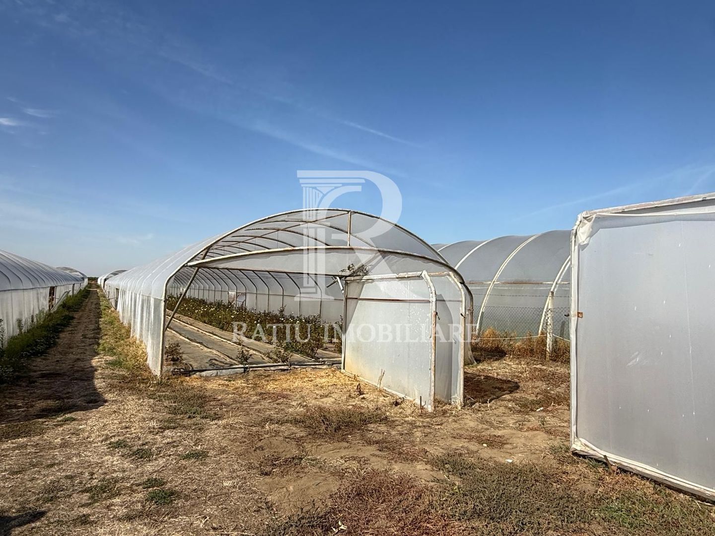 Teren intravilan agricol | 7029 mp | Satu Nou | Bihor - Poză 5