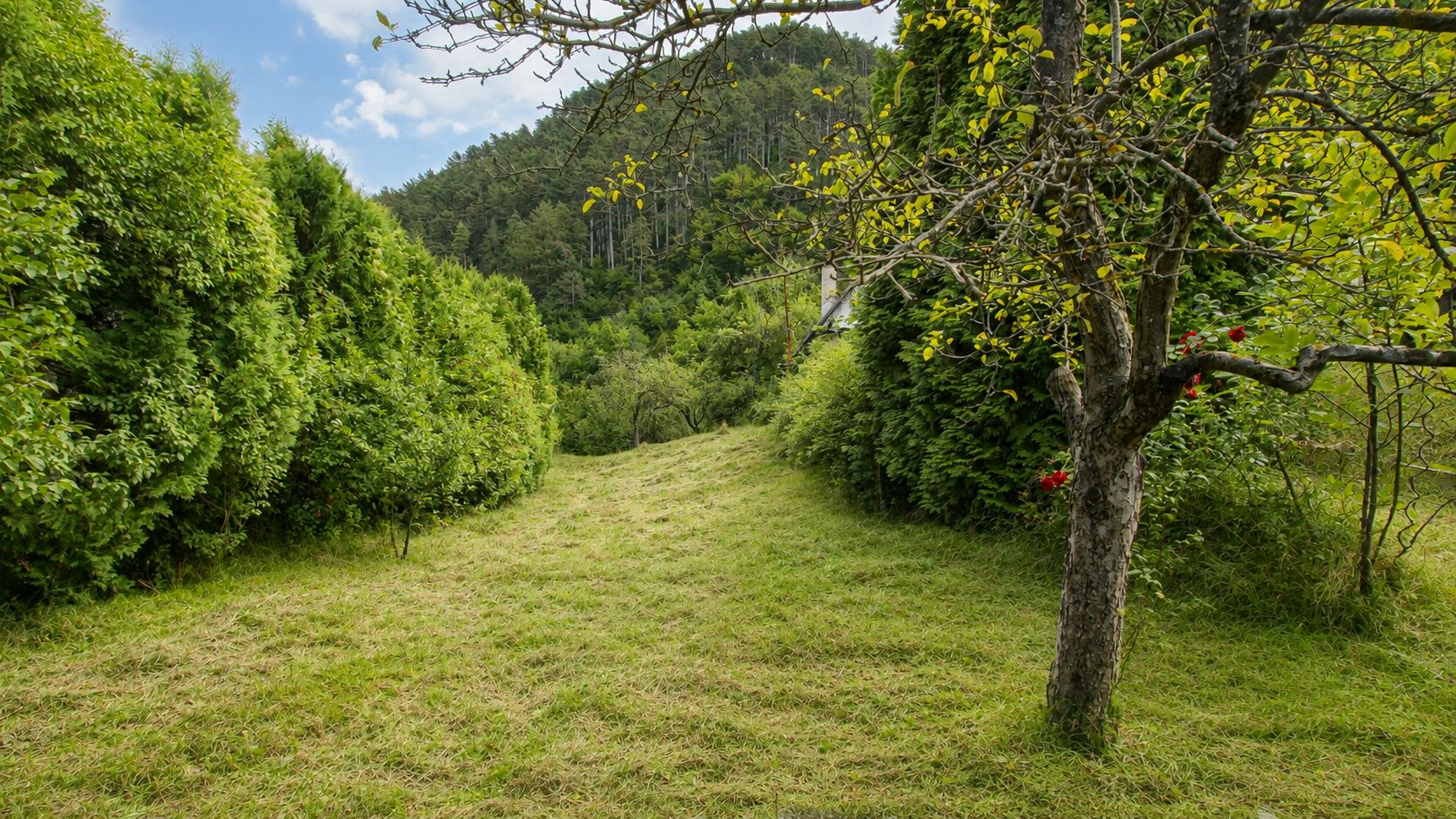 TEREN INTRAVILAN 1.498 MP CU CONSTRUCTIE | 3 FRONTURI STRADALE | SCHEI - Poză 8