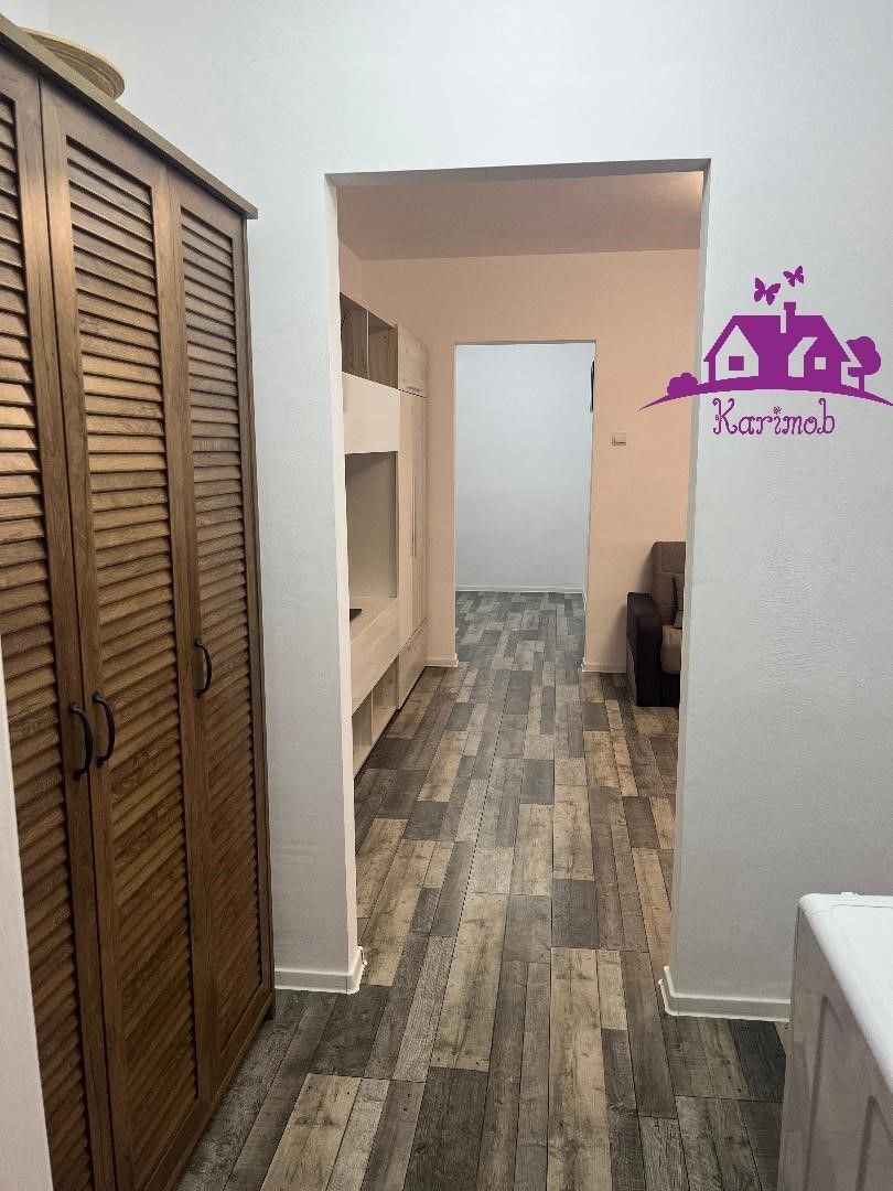 Apartament de inchiriat pe b-dul Dacia - Poză 14