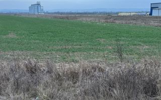 Teren de inchiriat | 20,088 ha | Sacadat | Bihor - Poză 2