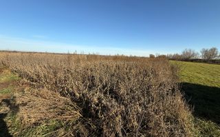 TEREN EXTRAVILAN | 35 ARI | HORODNIC DE JOS | - Poză 8