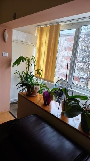 Apartament 4 camere, etaj 2, boxa, garaj - zona Steaua - Poză 12
