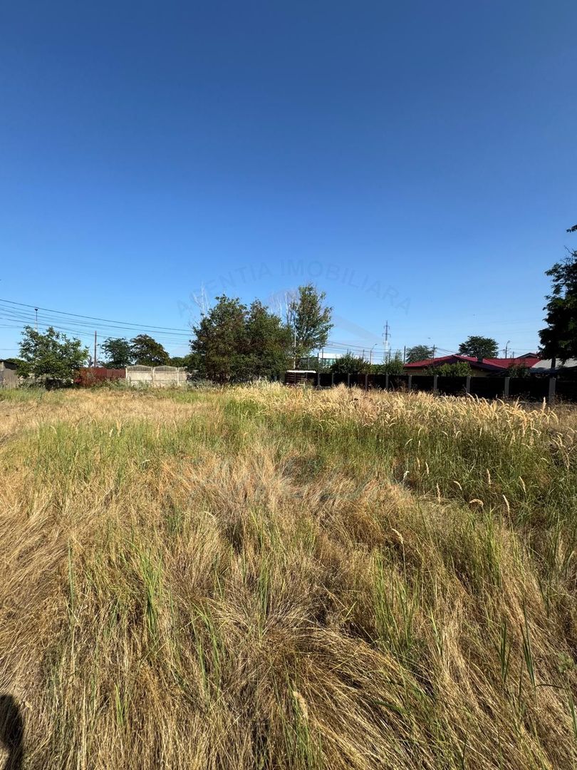 100Euro/mp TEREN intravilan, zona Arcasilor - Poză 5