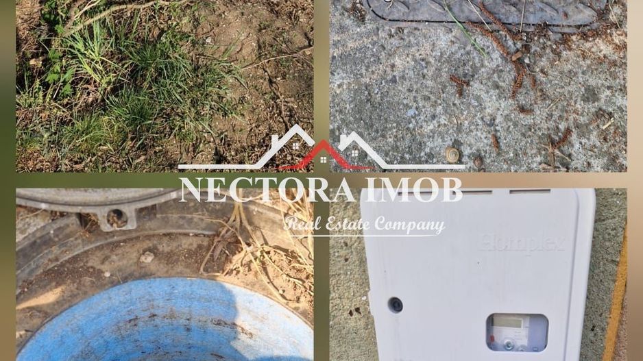 NECTORA IMOB-Casa 70 mp cu teren 951 mp, front 16 mp, Paleu Centru - Poză 5