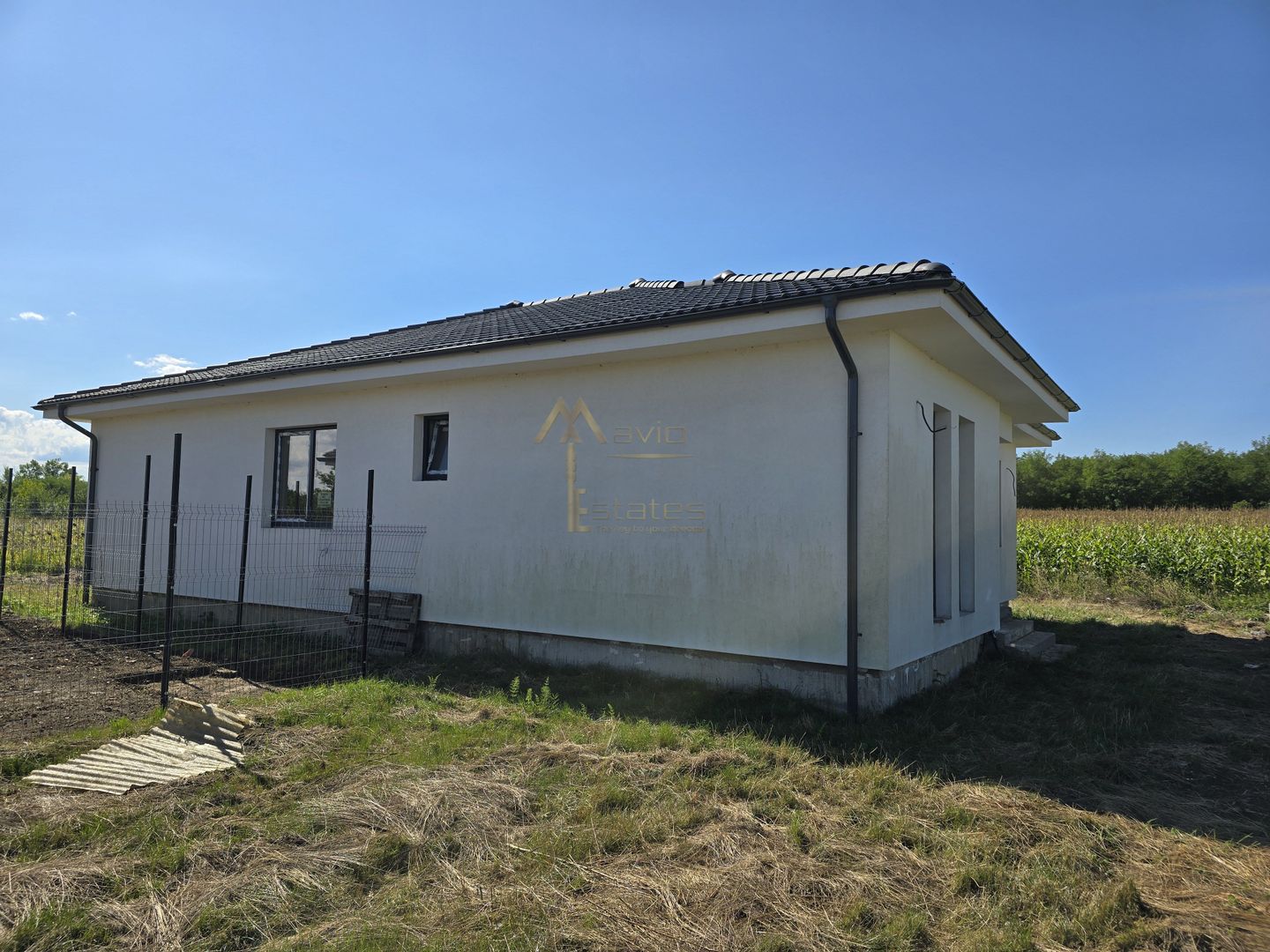 Martinesti, Casa individuala pe parter, 3 Dormitoare, 2 Bai - Poză 1