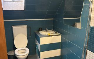 Casa cu 4 apartamente | 9 camere | Curte si Gradina - Poză 14