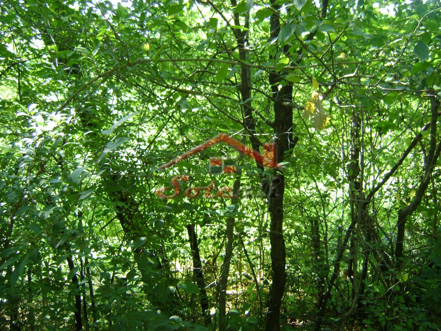 Teren de vânzare în Breaza– zonă liniștită, ideal pentru relaxare - Poză 20